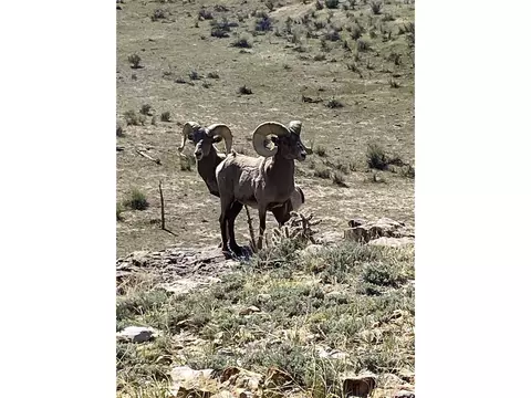 0 County Road 94, Model, CO 81059 photo 17