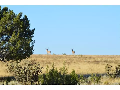 0 County Road 94, Model, CO 81059 photo 16