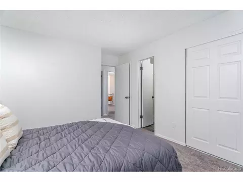 21051 E 46th Ave, Denver, CO 80249 photo 12