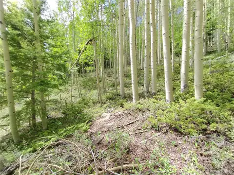 5364 Slegers Rd, Fort Garland, CO 81133