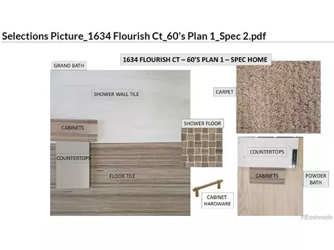 1634 Flourish Ct, Windsor, CO 80550 photo 3