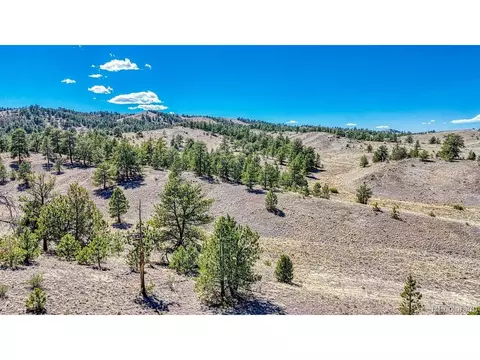 11 Hwy 9, Hartsel, CO 80449 photo 29