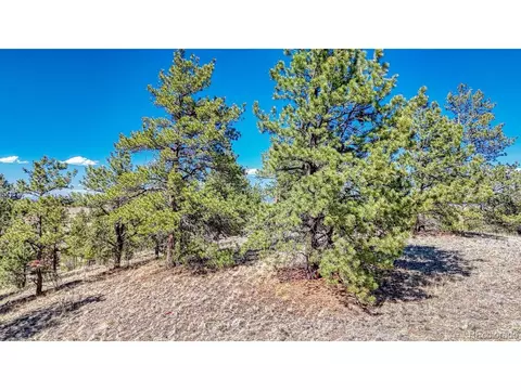 11 Hwy 9, Hartsel, CO 80449 photo 16