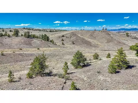 11 Hwy 9, Hartsel, CO 80449 photo 28