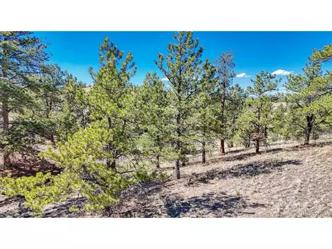 11 Hwy 9, Hartsel, CO 80449 photo 17