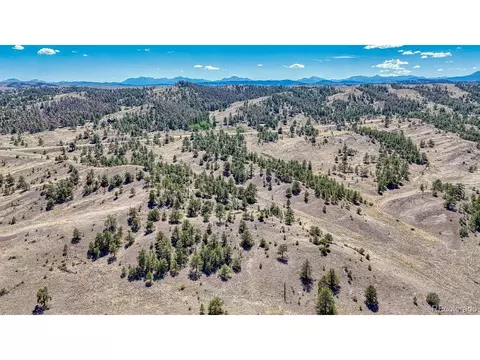 11 Hwy 9, Hartsel, CO 80449 photo 31