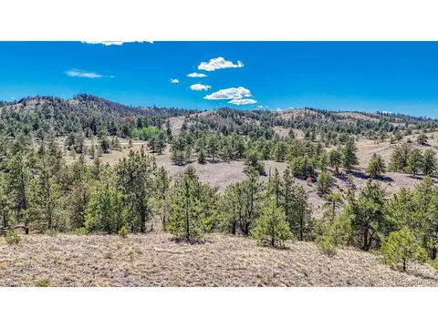 11 Hwy 9, Hartsel, CO 80449 photo 4