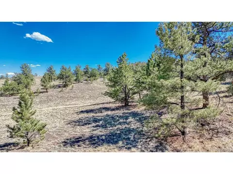 11 Hwy 9, Hartsel, CO 80449 photo 13