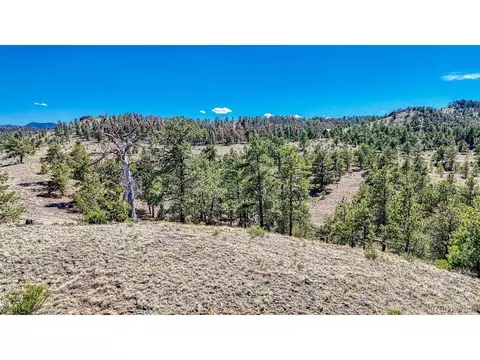 11 Hwy 9, Hartsel, CO 80449 photo 23