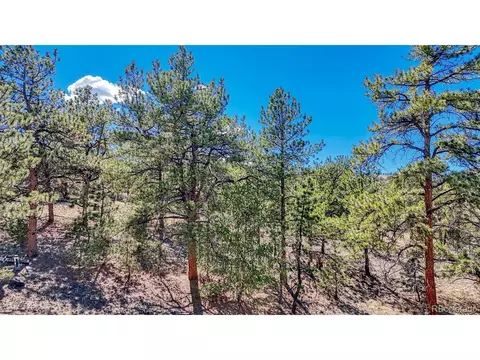 11 Hwy 9, Hartsel, CO 80449 photo 18