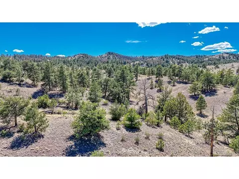 11 Hwy 9, Hartsel, CO 80449 photo 30