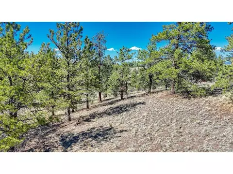 11 Hwy 9, Hartsel, CO 80449 photo 15