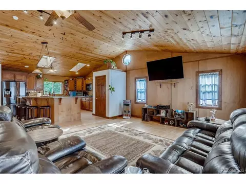 4817 County Road 64, Bailey, CO 80421 photo 4