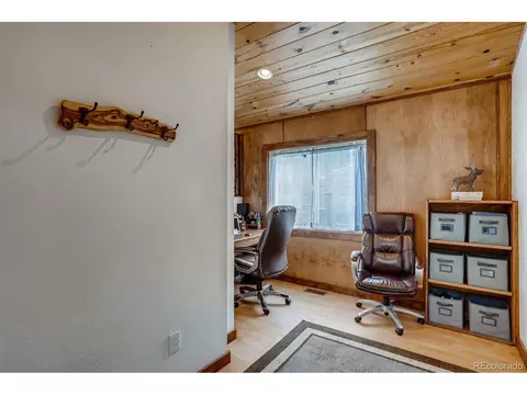 4817 County Road 64, Bailey, CO 80421 photo 13