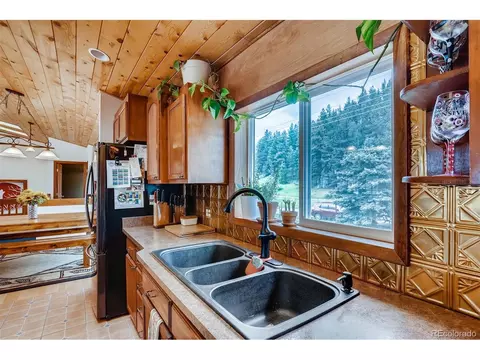 4817 County Road 64, Bailey, CO 80421 photo 8