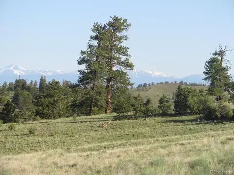 1783 Keokuk Rd, Hartsel, CO 80449