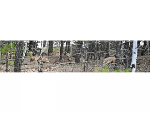Undisclosed, Pine, CO 80470 photo 24
