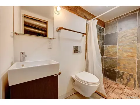 1314 E 8th Ave, Denver, CO 80218 photo 26
