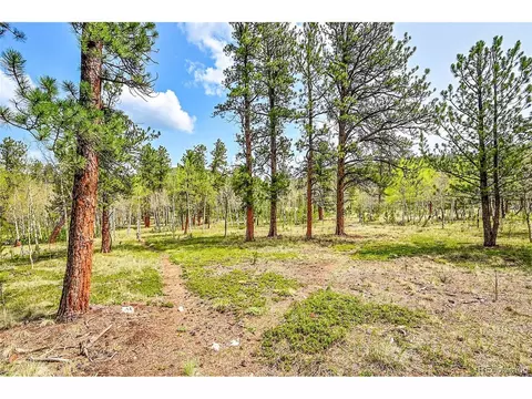 101 Campbell Rd, Bailey, CO 80421 photo 11