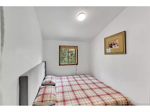 101 Campbell Rd, Bailey, CO 80421 photo 25