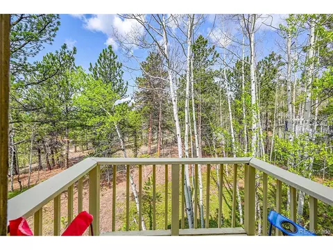 101 Campbell Rd, Bailey, CO 80421 photo 34