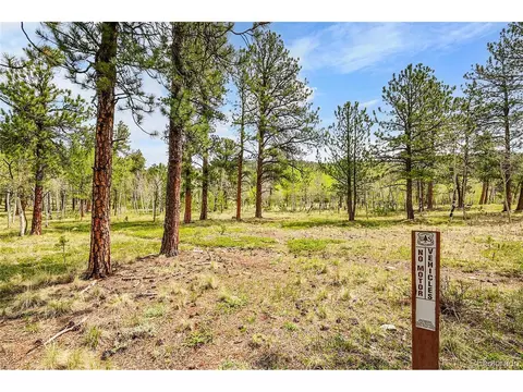 101 Campbell Rd, Bailey, CO 80421 photo 10