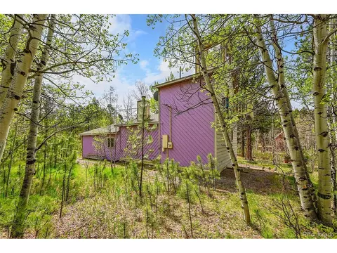 101 Campbell Rd, Bailey, CO 80421 photo 41