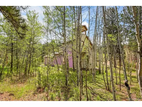 101 Campbell Rd, Bailey, CO 80421 photo 8