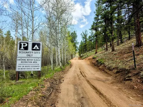 101 Campbell Rd, Bailey, CO 80421 photo 48