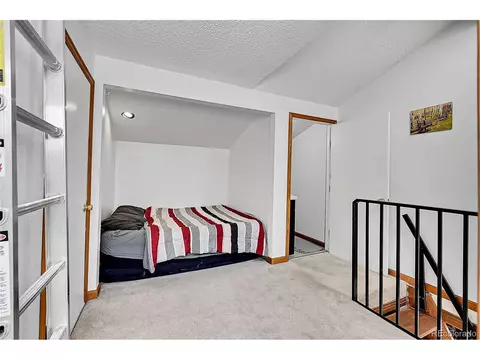 101 Campbell Rd, Bailey, CO 80421 photo 30