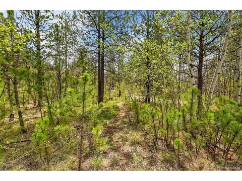 101 Campbell Rd, Bailey, CO 80421 photo 9