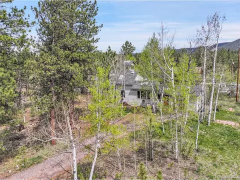 101 Campbell Rd, Bailey, CO 80421 photo 4