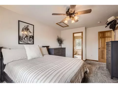213 N Circle Dr, Bailey, CO 80421 photo 14