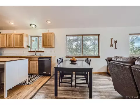 213 N Circle Dr, Bailey, CO 80421 photo 8