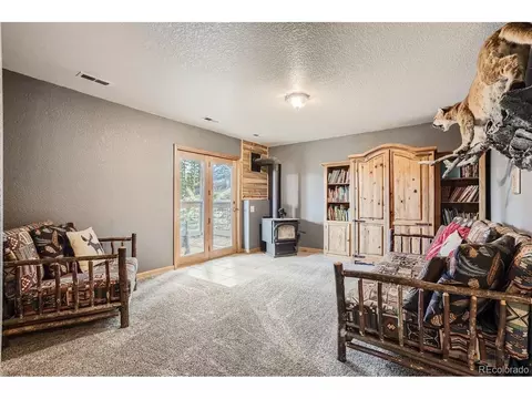 213 N Circle Dr, Bailey, CO 80421 photo 18