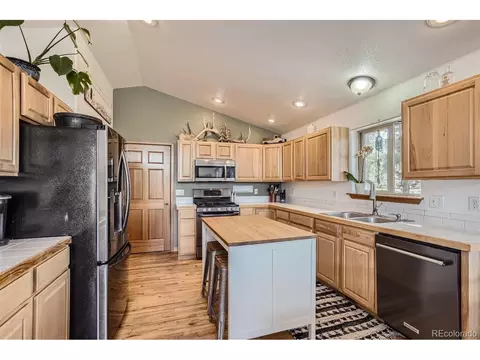 213 N Circle Dr, Bailey, CO 80421 photo 6