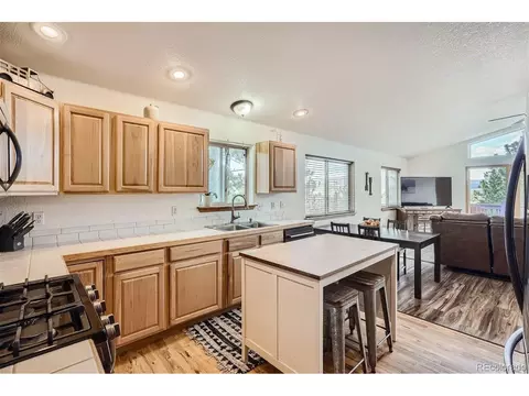 213 N Circle Dr, Bailey, CO 80421 photo 7