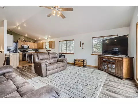 213 N Circle Dr, Bailey, CO 80421 photo 10
