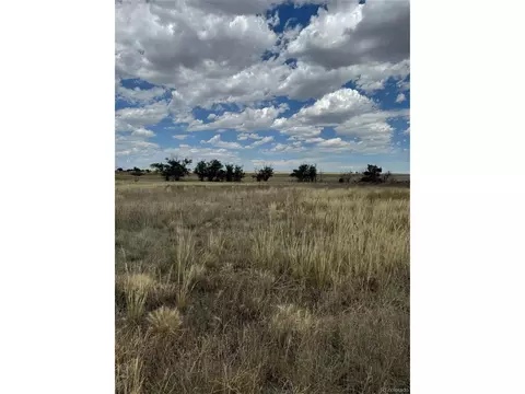 38355 Shear Rd, Yoder, CO 80864 photo 32
