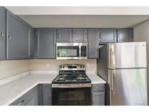 20811 E 45th Ave, Denver, CO 80249 photo 8