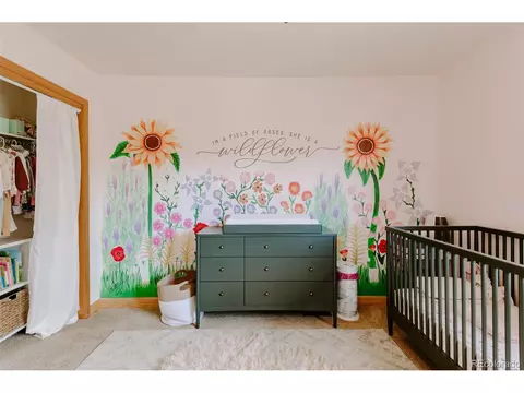 7374 Plowsher Way, Morrison, CO 80465 photo 17