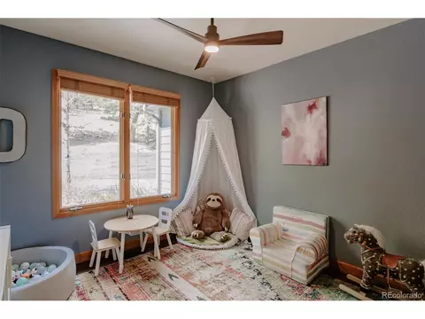 7374 Plowsher Way, Morrison, CO 80465 photo 13