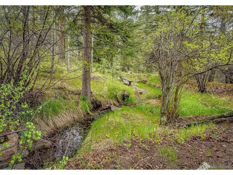 12346 Bear Haven Rd, Conifer, CO 80433 photo 4