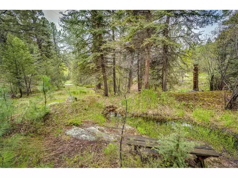 12346 Bear Haven Rd, Conifer, CO 80433 photo 5