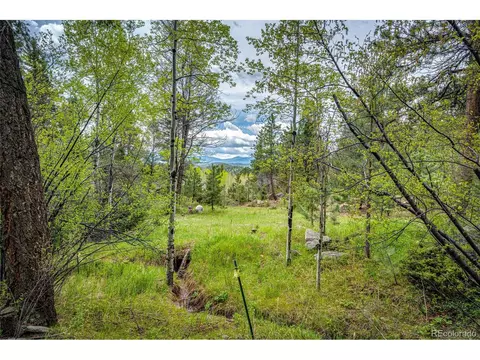 12346 Bear Haven Rd, Conifer, CO 80433