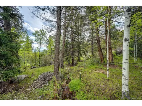 12346 Bear Haven Rd, Conifer, CO 80433 photo 27
