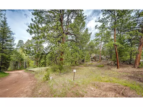 12346 Bear Haven Rd, Conifer, CO 80433 photo 22