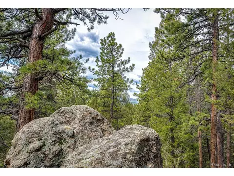 12346 Bear Haven Rd, Conifer, CO 80433 photo 3