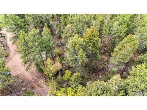 12346 Bear Haven Rd, Conifer, CO 80433 photo 18