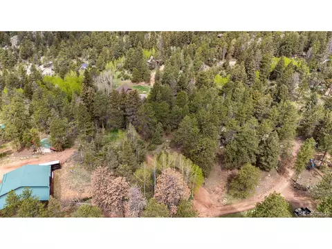12346 Bear Haven Rd, Conifer, CO 80433 photo 10